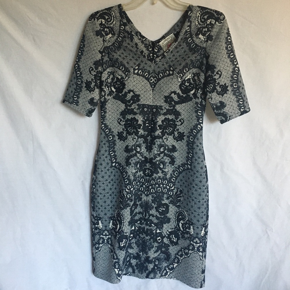 Yoanna Baraschi lace sketched dress